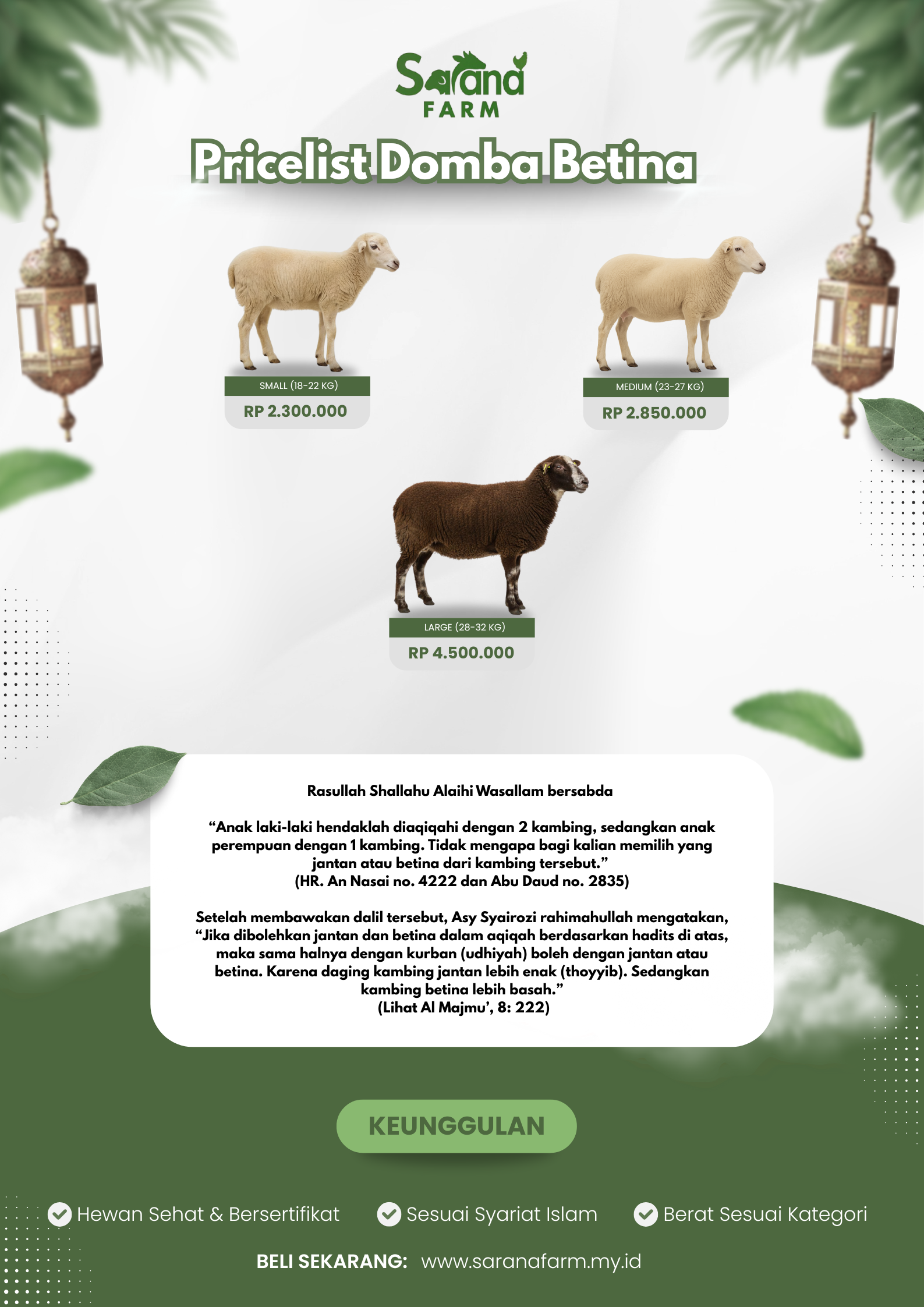 Pricelist Domba Qurban Betina 2025