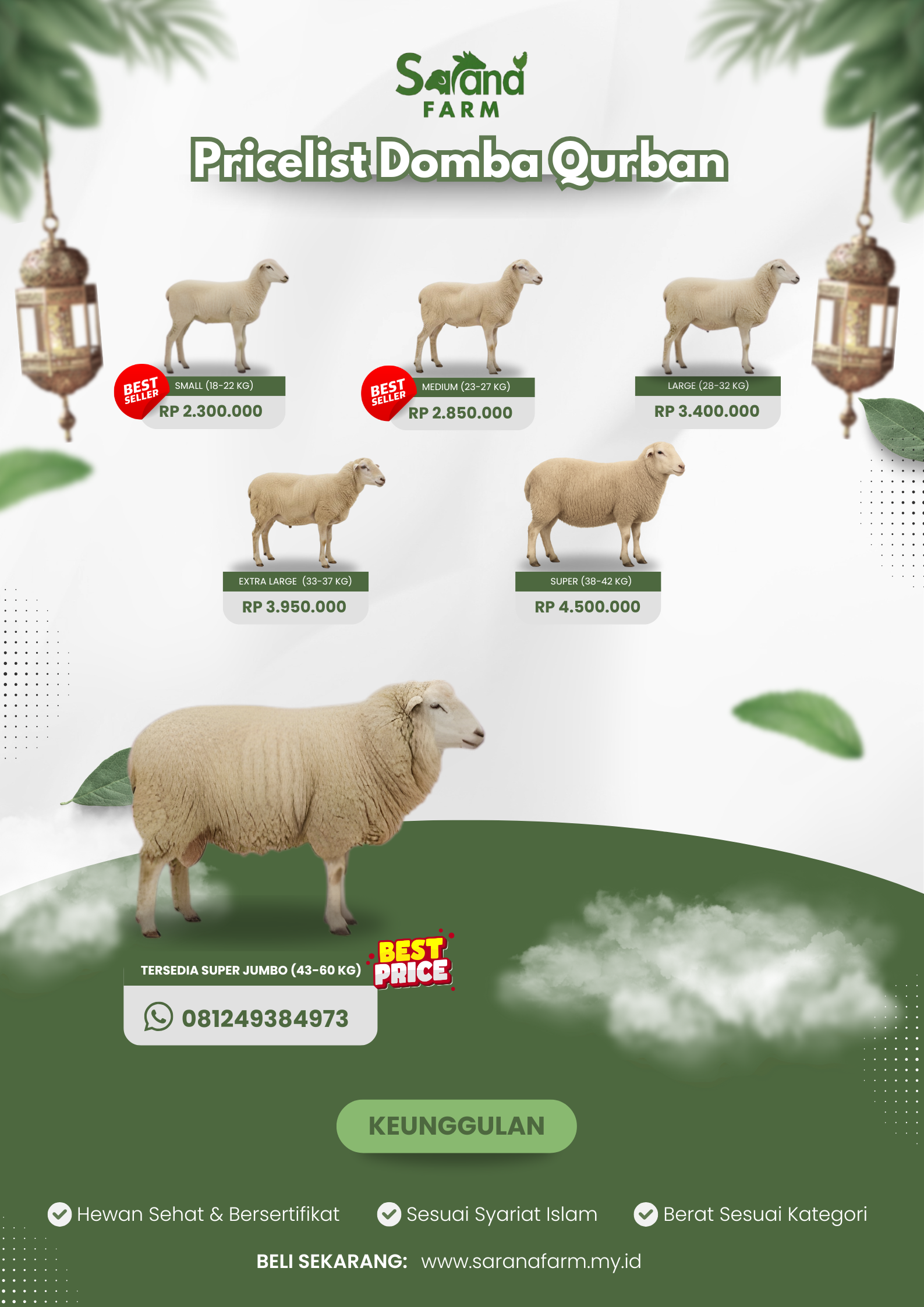 Pricelist Domba Qurban Pejantan 2025